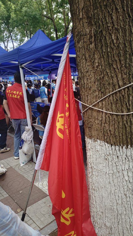 #日常 迎新？错✘，划水