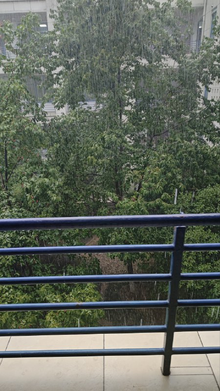 #日常 下大暴雨喽#日常 下大暴雨喽